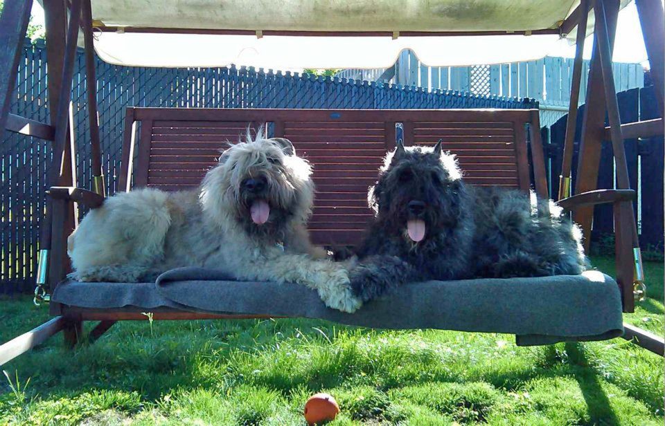 559994_10150979661840844_1984929072_n